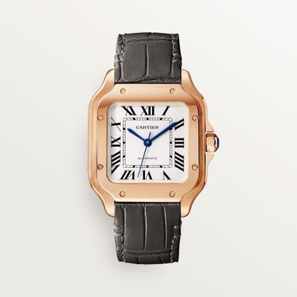 SANTOS DE WATCH MEDIUM MODEL