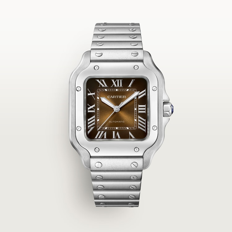 SANTOS DE WATCH MEDIUM MODEL