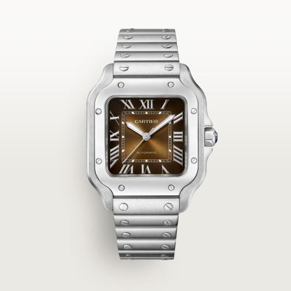 SANTOS DE WATCH MEDIUM MODEL