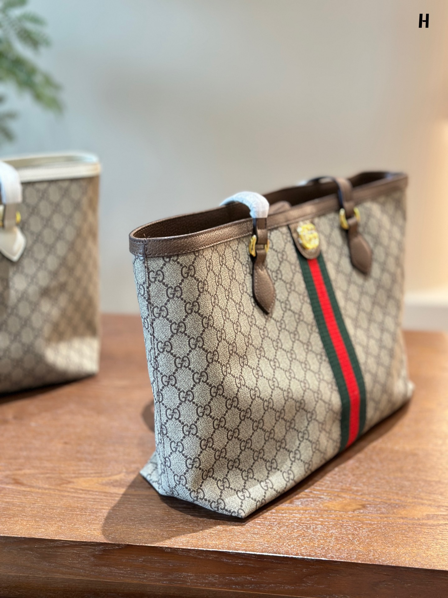 Ophidia medium GG tote