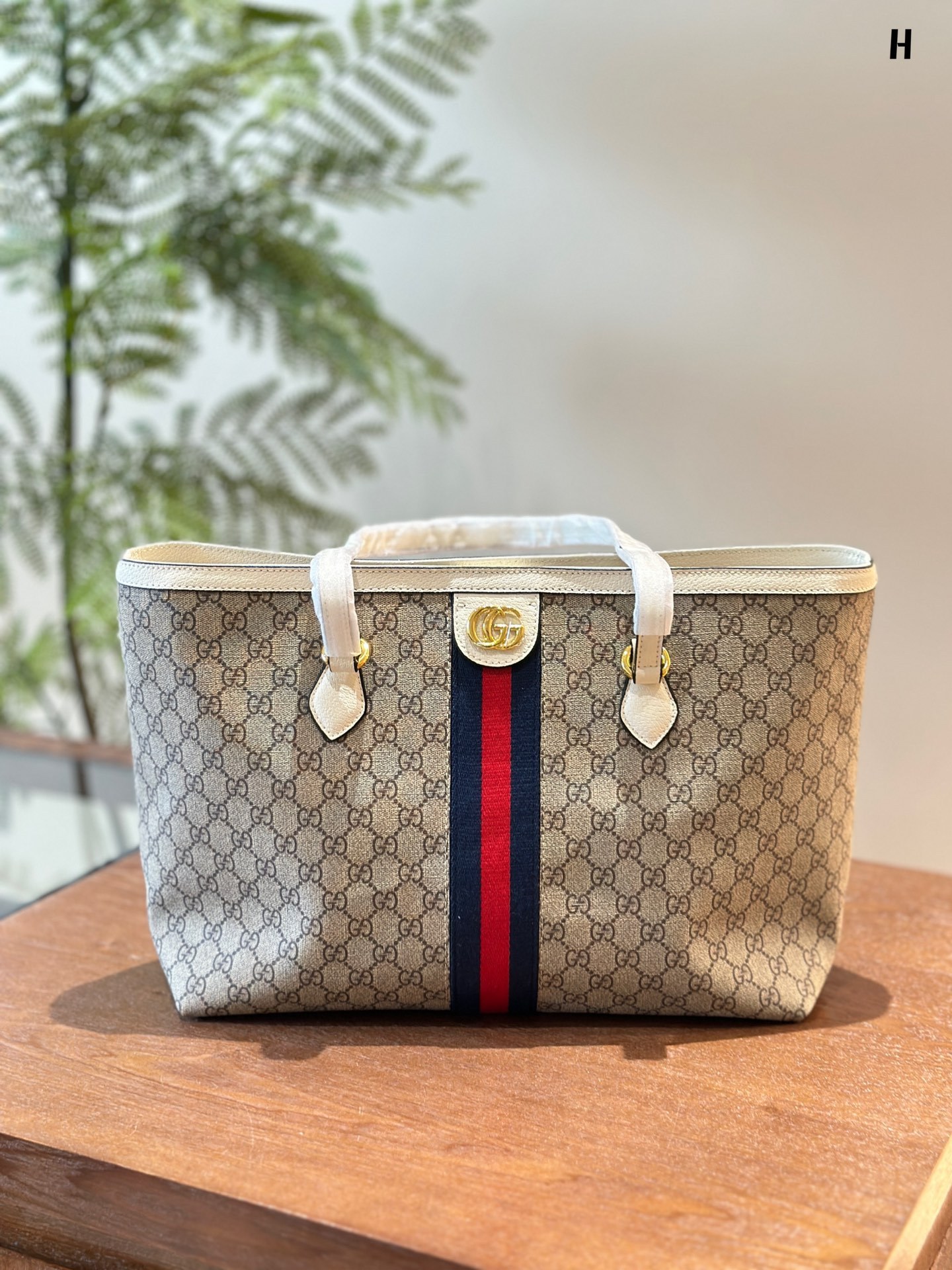 Ophidia medium GG tote