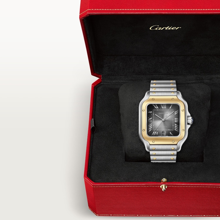 SANTOS DE WATCH LARGE MODEL