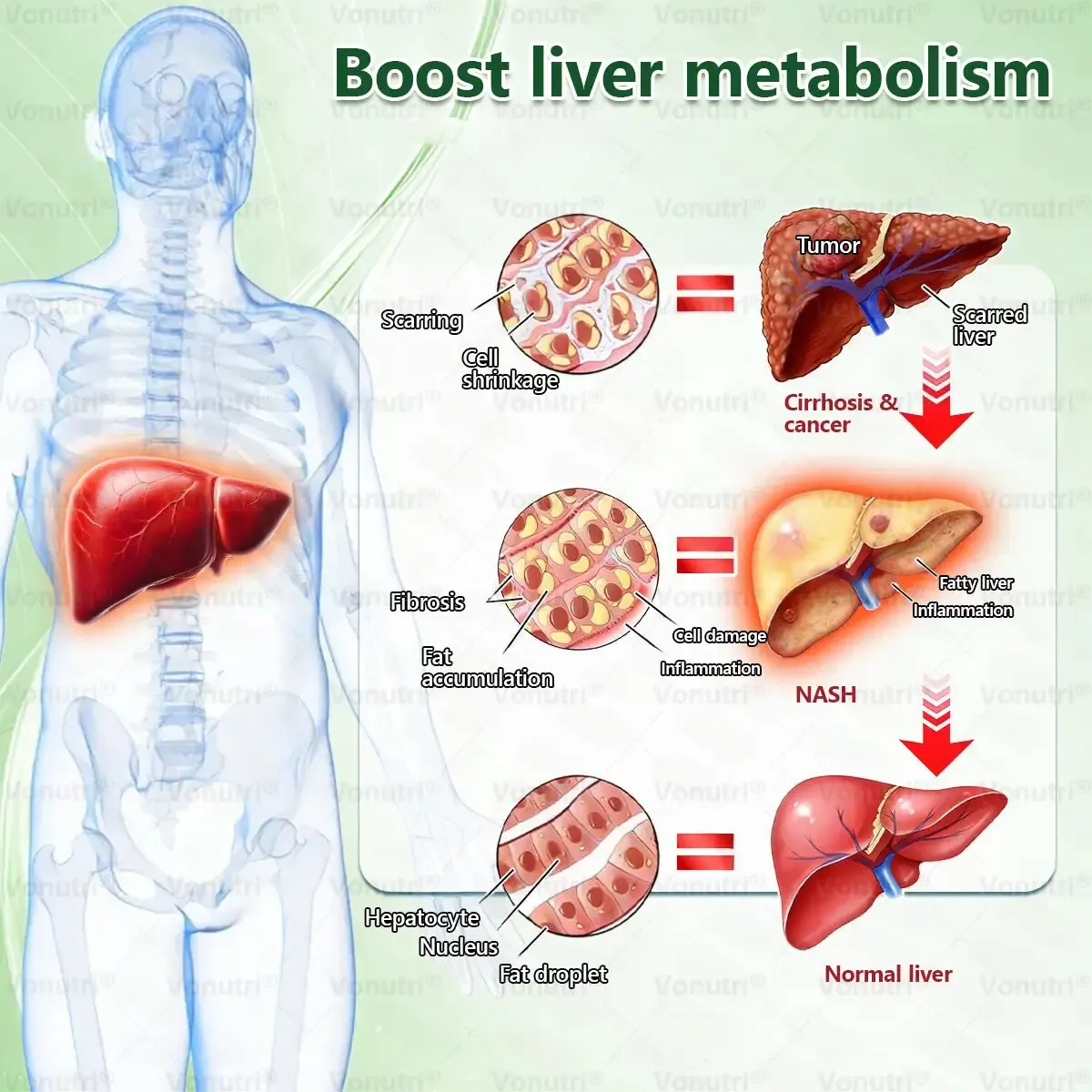 Vonutri® Moringa · Berberine × EGCG 10-in-1 Advanced Nano Microneedle Patch