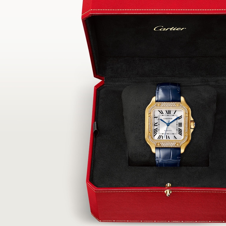 SANTOS DE WATCH MEDIUM MODEL