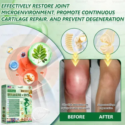 Vonutri® Moringa · Berberine × EGCG 10-in-1 Advanced Nano Microneedle Patch