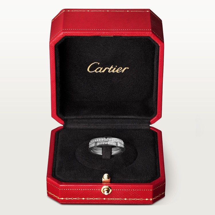 MAILLON PANTHÈRE THIN WEDDING BAND, 2 HALF DIAMOND-PAVED ROWS