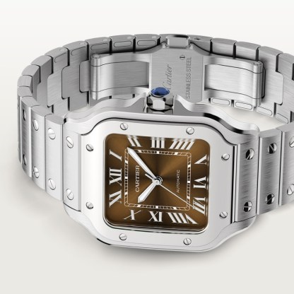 SANTOS DE WATCH MEDIUM MODEL