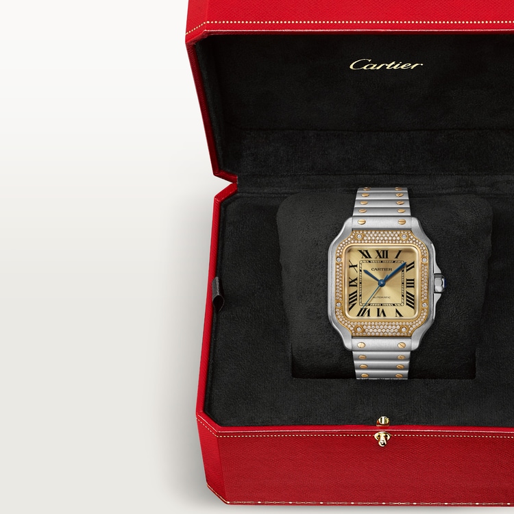SANTOS DE WATCH MEDIUM MODEL