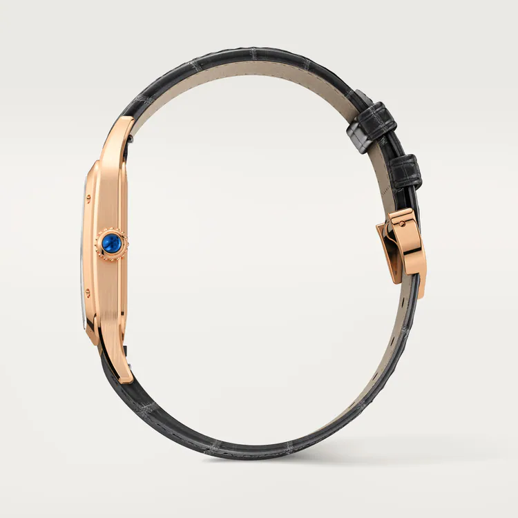 SANTOS-DUMONT WATCH