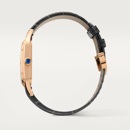 SANTOS-DUMONT WATCH