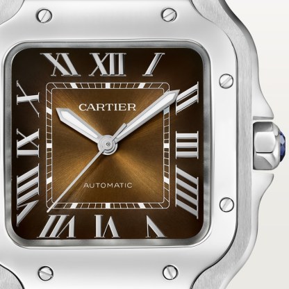 SANTOS DE WATCH MEDIUM MODEL