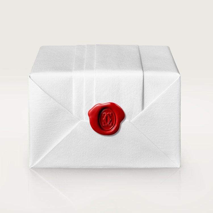 JUSTE UN CLOU NECKLACE