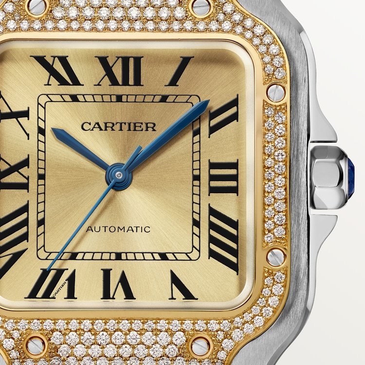 SANTOS DE WATCH MEDIUM MODEL
