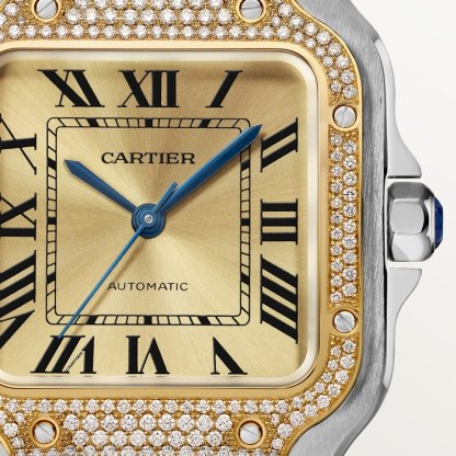 SANTOS DE WATCH MEDIUM MODEL