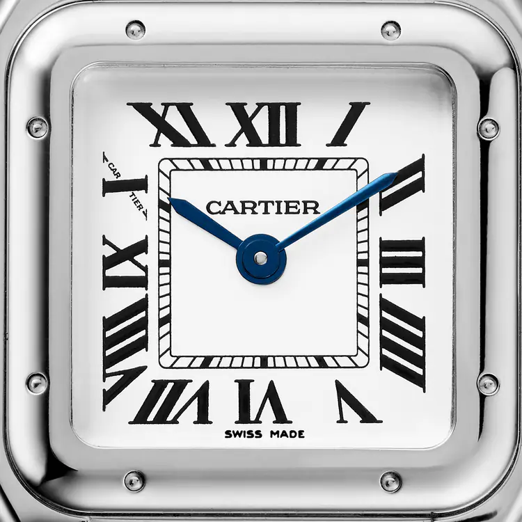 PANTH??RE DE CARTIER WATCH