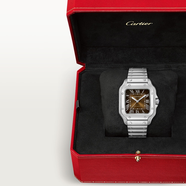 SANTOS DE WATCH MEDIUM MODEL