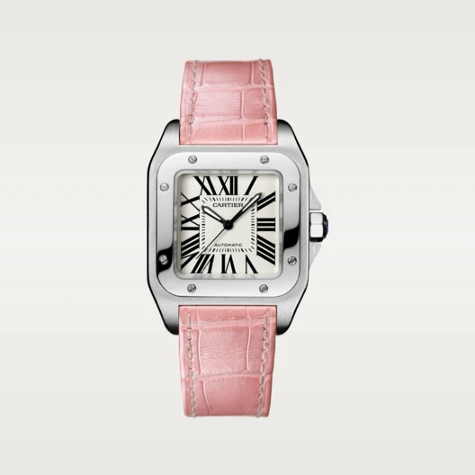 SANTOS 100 WATCH