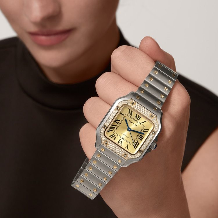 SANTOS DE WATCH MEDIUM MODEL