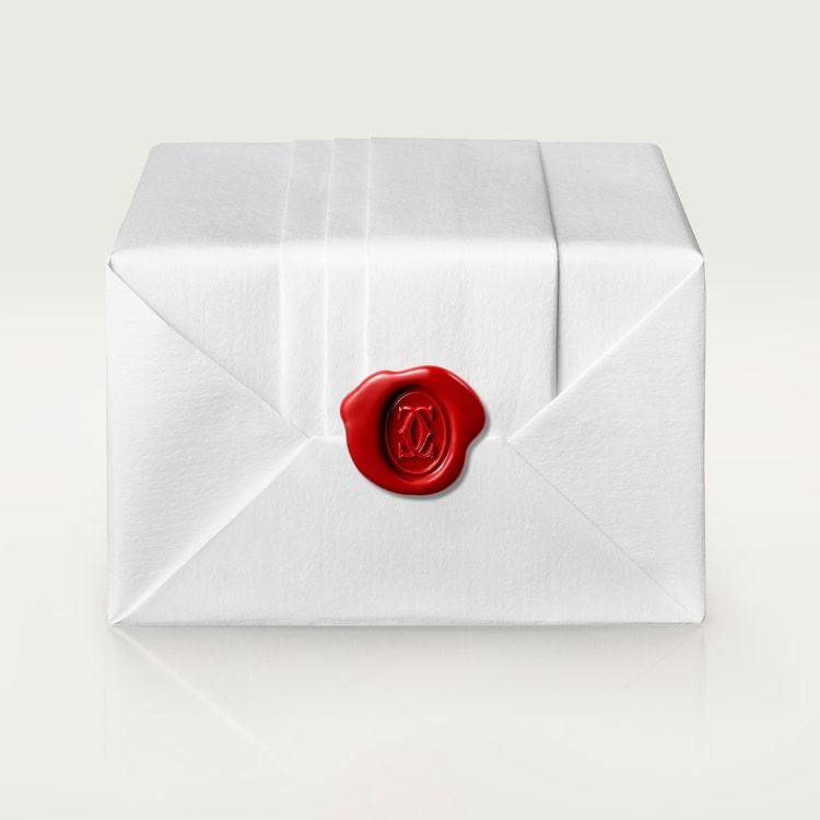 JUSTE UN CLOU NECKLACE