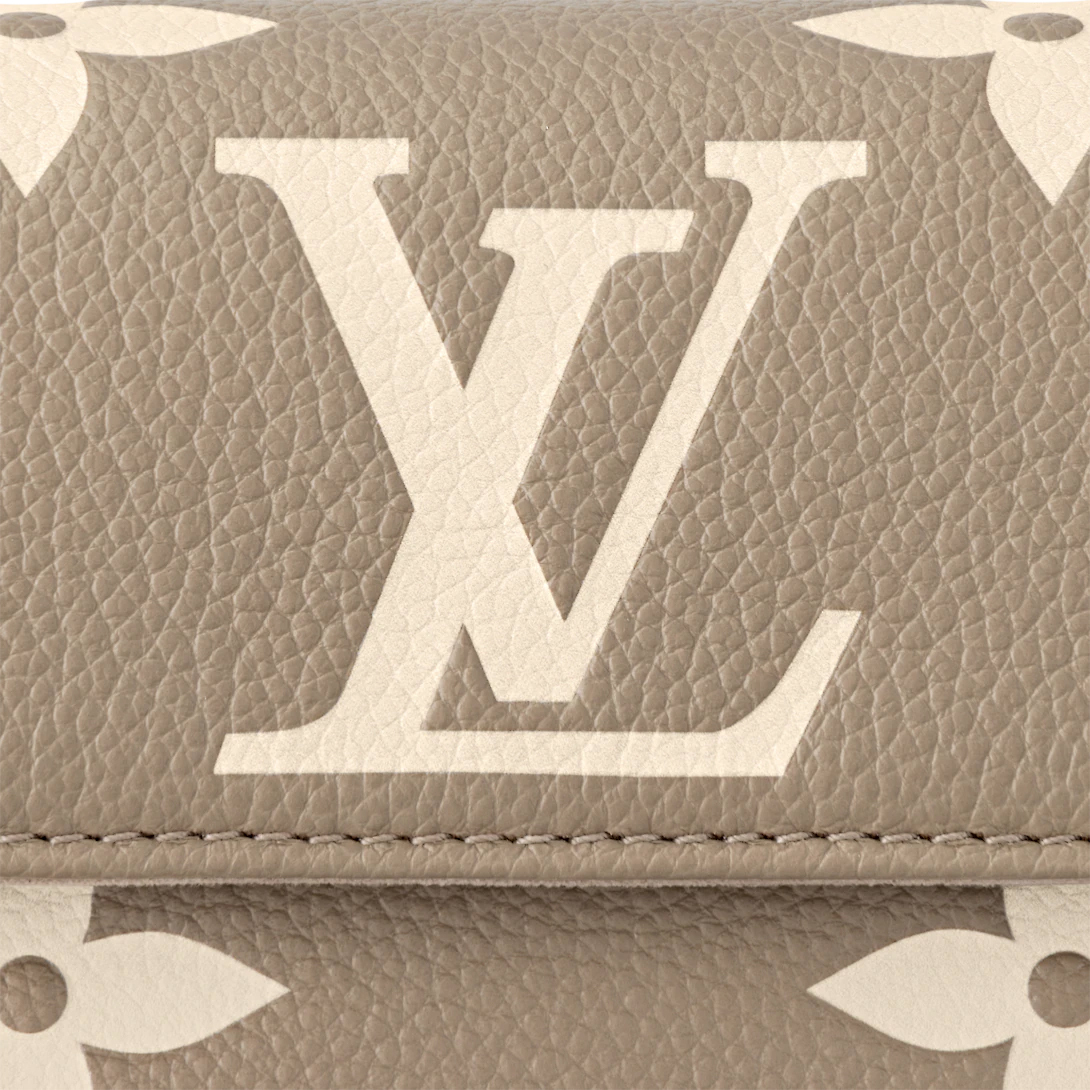 Wallet On Chain Ivy