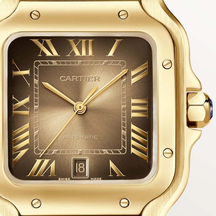 SANTOS DE WATCH