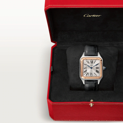SANTOS-DUMONT WATCH