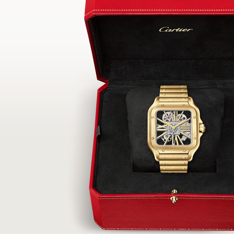SANTOS DE WATCH