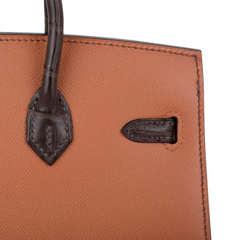 Birkin 20 Sellier Limited Edition Faubourg Bag with Palladium Hardware