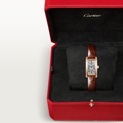 TANK AMÉRICAINE WATCH MINI MODEL