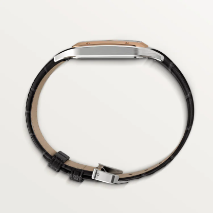 SANTOS-DUMONT WATCH