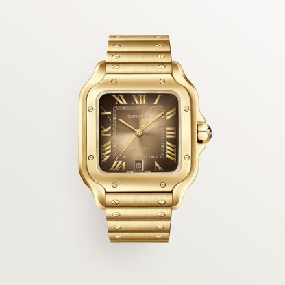 SANTOS DE WATCH