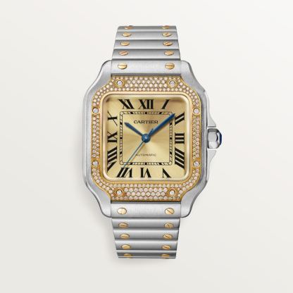 SANTOS DE WATCH MEDIUM MODEL
