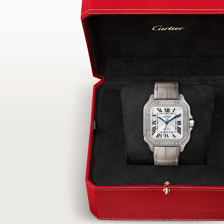 SANTOS DE WATCH MEDIUM MODEL