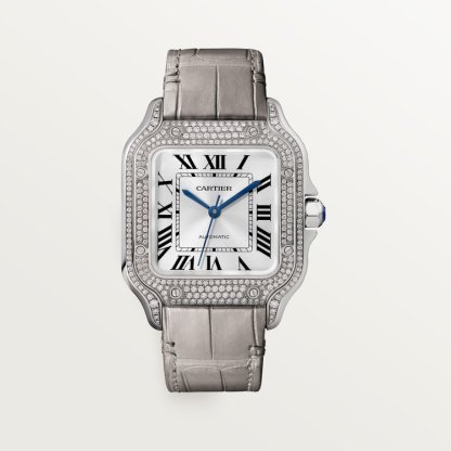SANTOS DE WATCH MEDIUM MODEL