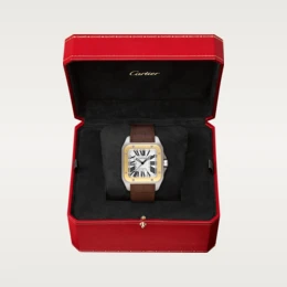 SANTOS 100 WATCH