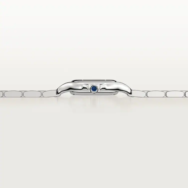 PANTH??RE DE CARTIER WATCH