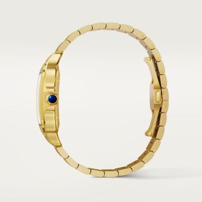 SANTOS DE WATCH