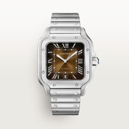 SANTOS DE WATCH LARGE MODEL