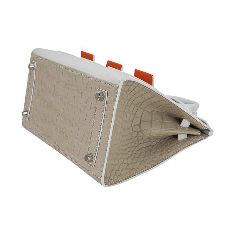 Limited Edition Birkin 20 Faubourg Sellier Bag Neige (Snow) White Matte Alligator