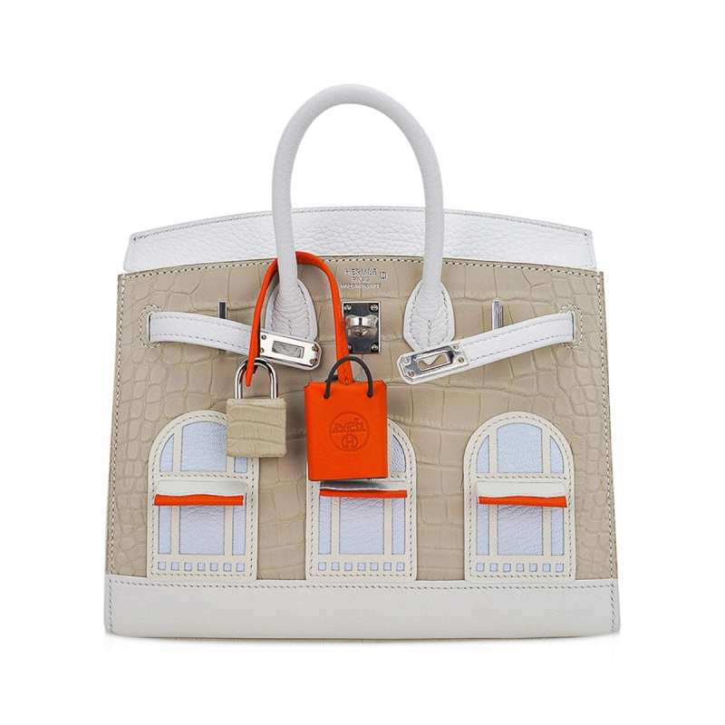 Limited Edition Birkin 20 Faubourg Sellier Bag Neige (Snow) White Matte Alligator