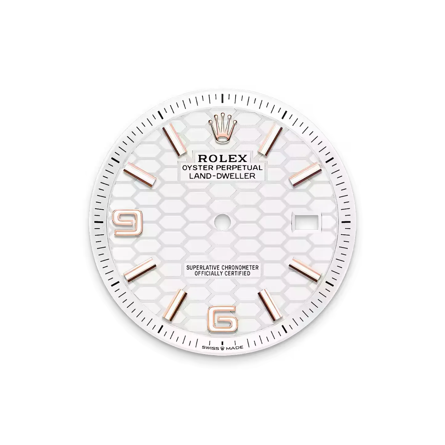 Land-Dweller 40, Oyster, 40 mm, Everose gold  Reference 127335