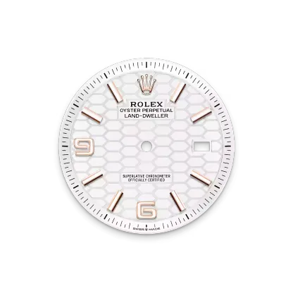 Land-Dweller 40, Oyster, 40 mm, Everose gold  Reference 127335