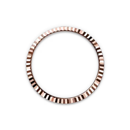 Land-Dweller 40, Oyster, 40 mm, Everose gold  Reference 127335