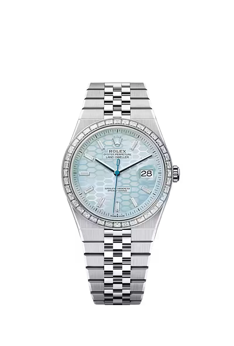 Land-Dweller 40, Oyster, 40 mm, platinum  Reference 127336