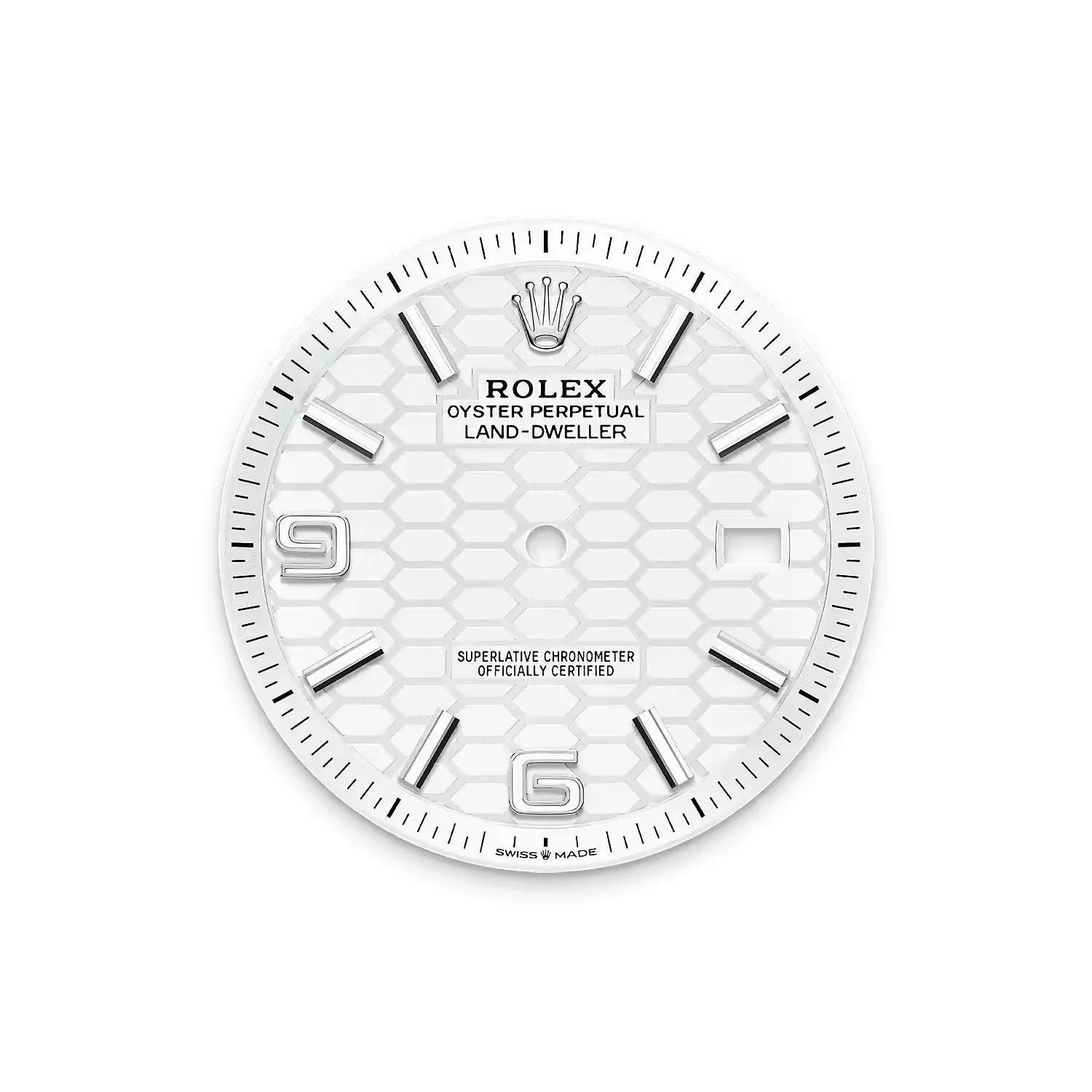 Land-Dweller 40, Oyster, 40 mm, Oystersteel and white gold  Reference 127334