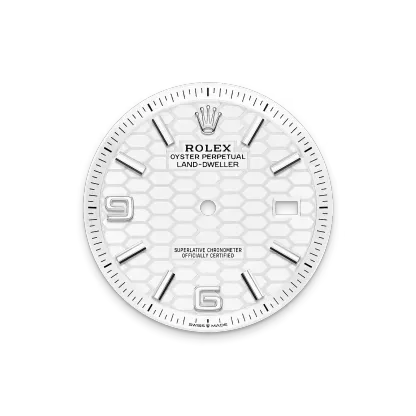 Land-Dweller 40, Oyster, 40 mm, Oystersteel and white gold  Reference 127334