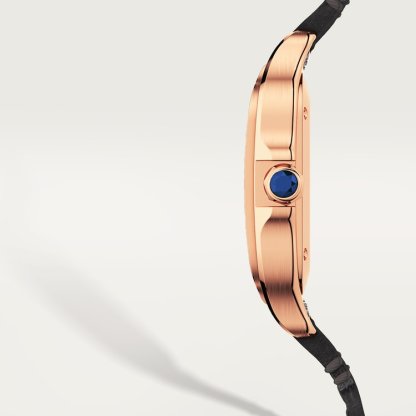 SANTOS DE WATCH MEDIUM MODEL