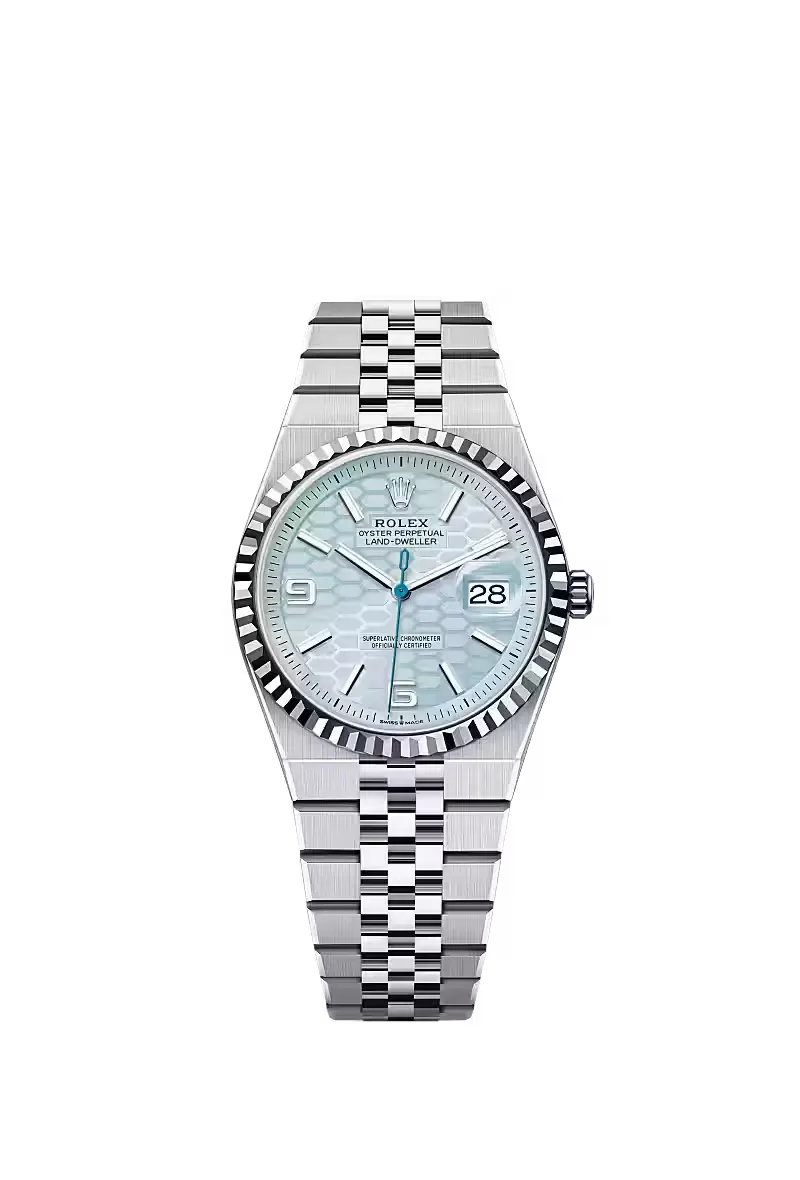 Land-Dweller 36, Oyster, 36 mm, platinum and diamonds  Reference 127286TBR