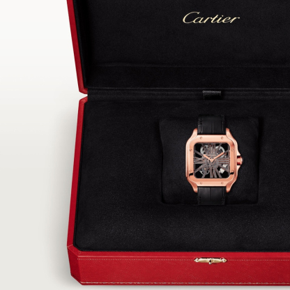 SANTOS DE CARTIER WATCH