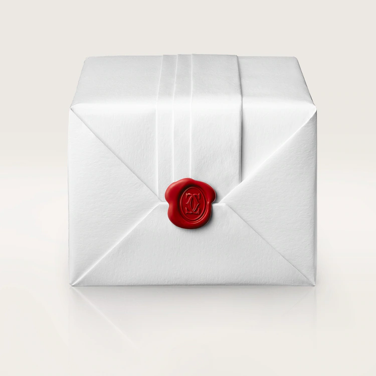 36MM RONDE MUST DE WATCH